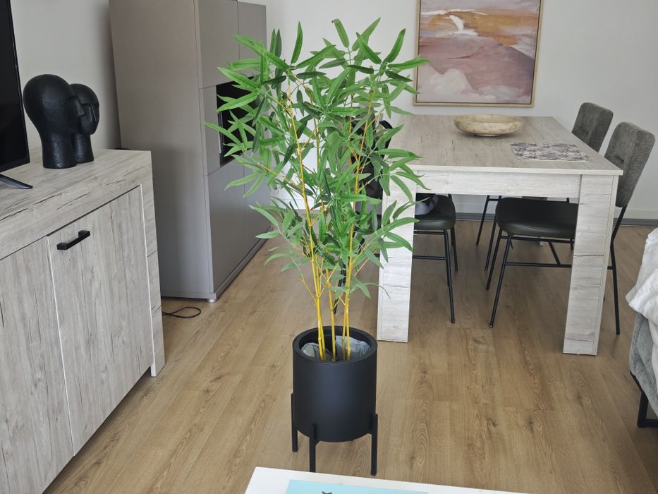 Planta decorativa