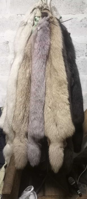 ХУТРО ПЕСЦЯ НОВЕ шкірки