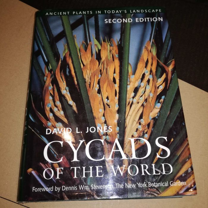 Cycas do mundo guia de cultivo