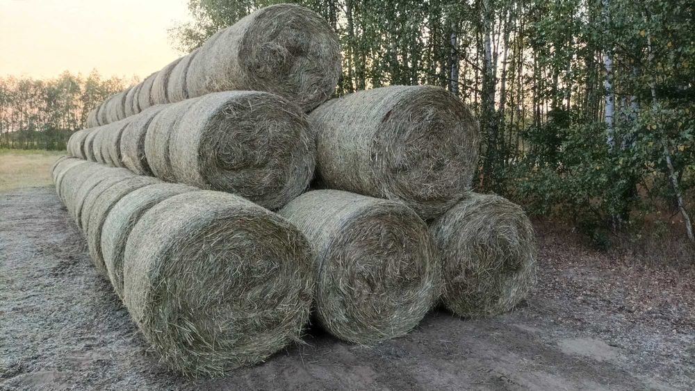 Siano łąkowe idealne dla Twoich zwierząt, baloty 120