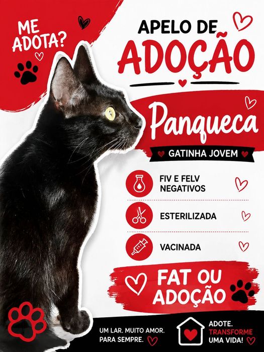 Gatinha para adoção
