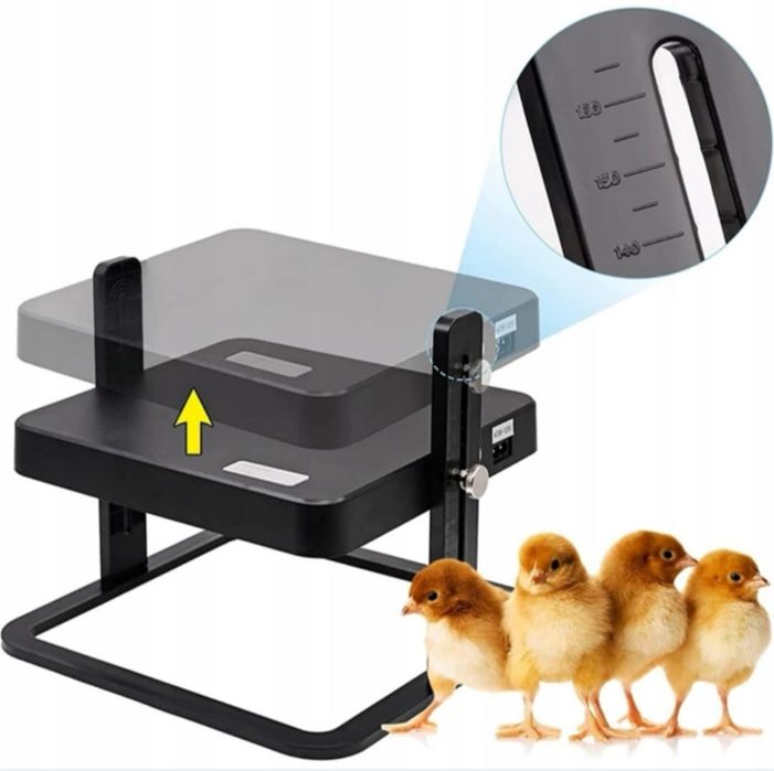 Płyta grzewcza dla piskląt 18 W regulator temperatury