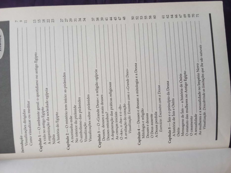 A Sabedoria dos Egípcios - Ron Bonewitz