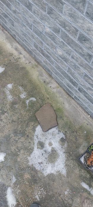 Продам піщаник, пісковик