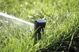 Automatyczne systemy nawodnieniowe