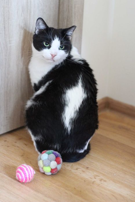 Izydor jest już gotowy na podróż życia, może właśnie z Tobą?