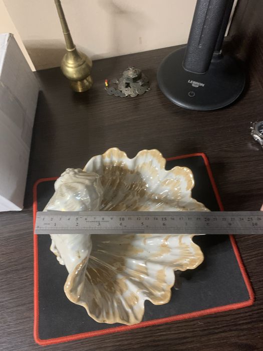 Продам большую ракушку