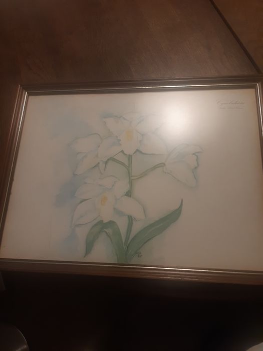 Framed Picture64750945238914122