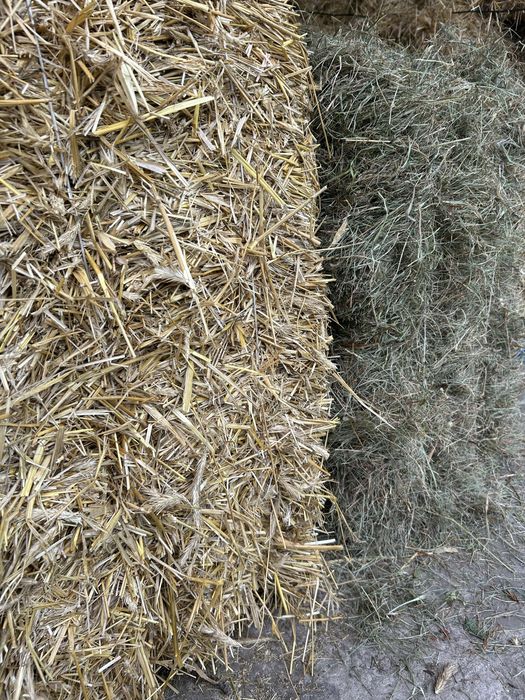 Słoma i siano w kostkach, stacjonarnie i z dowozem