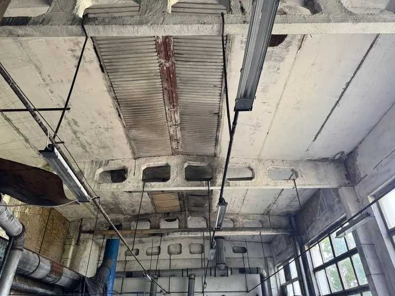 Цех по переробці шкірсировини, 4885 м2, Промисловий центр урочище, 6А