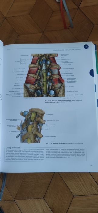 Atlasy anatomii człowieka Sobotta 3 tomy
