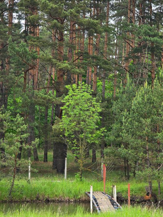 Ділянка біля лісу з власним озером. Є газ, світло, вода. 3.27 Га