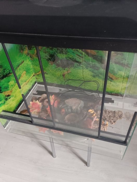 Terrarium dla gadów 
Terrarium 60x40x53 cm + wyposażenie + grzałka
Spr