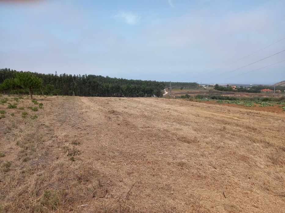 Terrenos (Arrendamento/Venda) - TORRES VEDRAS