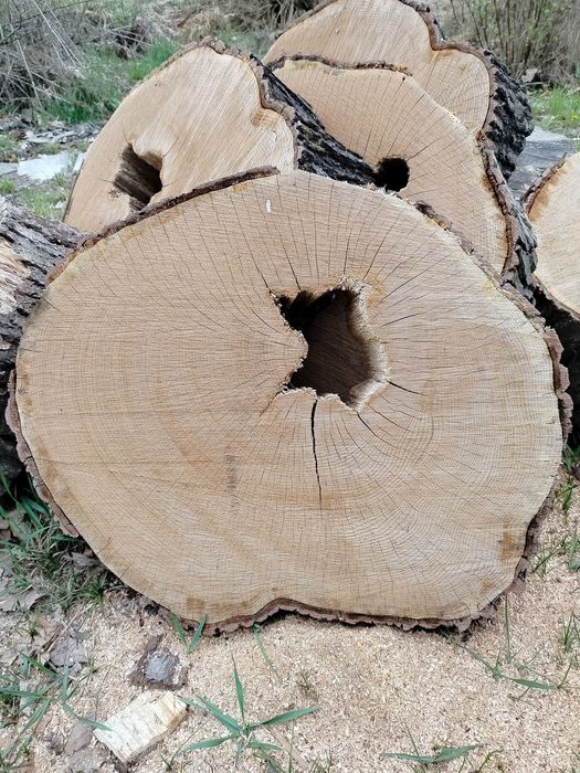 Plastry dębowe, różne wzory.