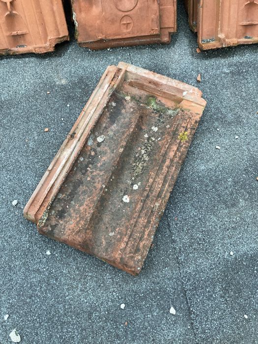 Telha marselha Barbosa Ribeiro