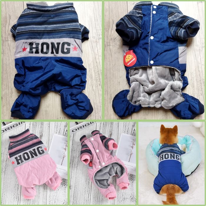 Одяг (комбінезони) для собак