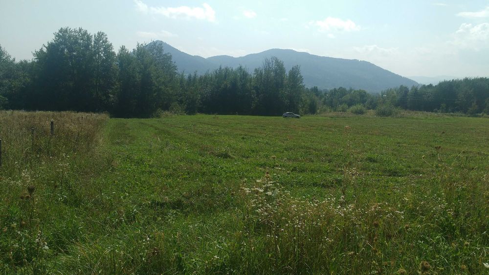 Земельна ділянка