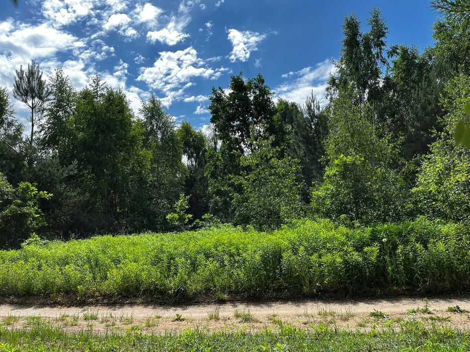 Gąsiorowo gm. Olsztynek - piękna, zadrzwiona działka z MPZP - Widok 5