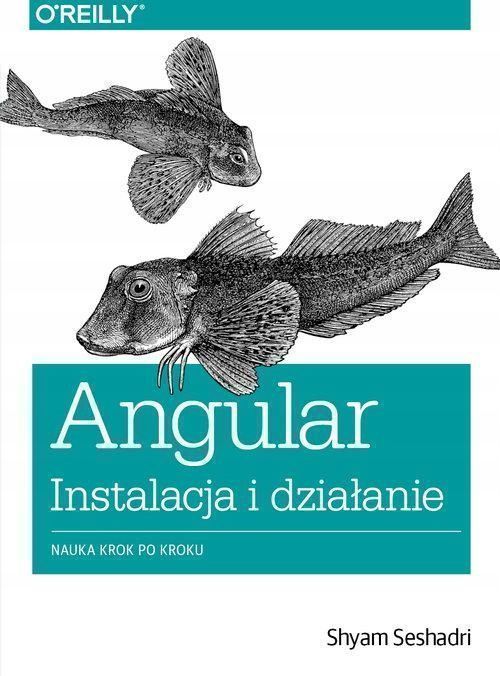 Angular Instalacja I Działanie, Seshadri Shyam