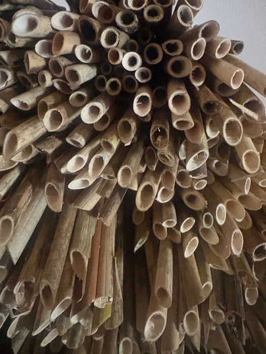 Rurki trzcinowe dla murarki ogrodowej 25-30cm - 300szt