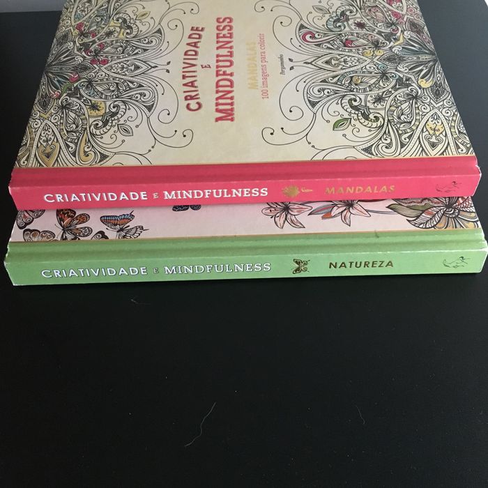 Livro Criatividade é Mindfulness Mandalas