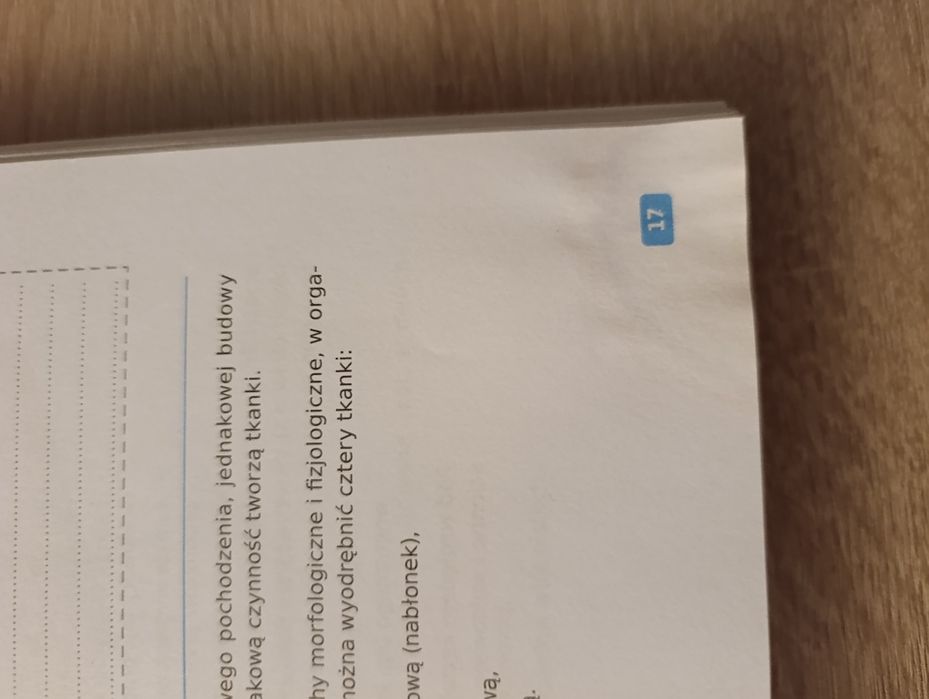 Zarys anatomii człowieka