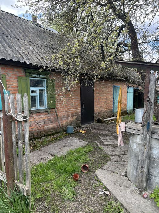 Будинок в селі Петрівці Полтавська обл.