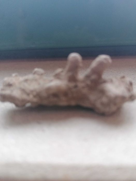 Pedras da Humanidade de 20 mil anos