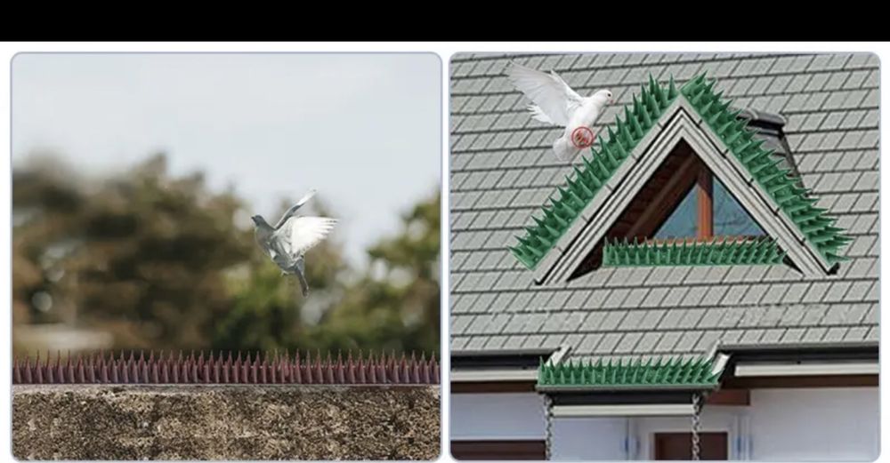 Barra de picos repelente de aves, gatos etc