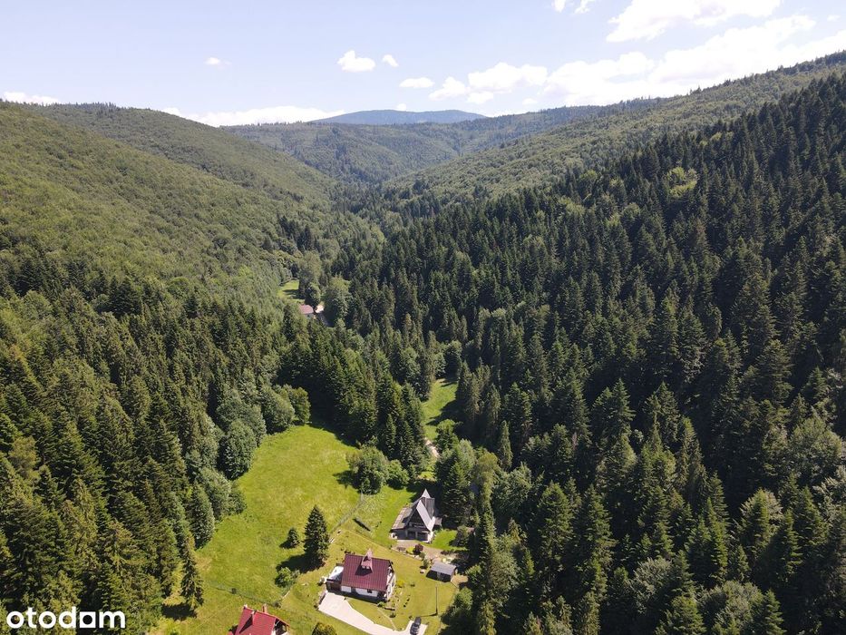 Na sprzedaż działka 3795 mkw, zanurzona w leśnej otulinie – Bystra. - Widok 3