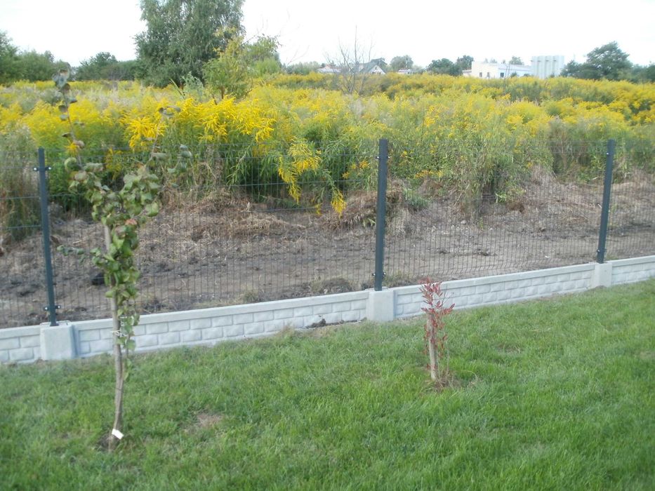 Ogrodzenie panelowe 153cm fi4mm, panel ogrodzeniowy komplet