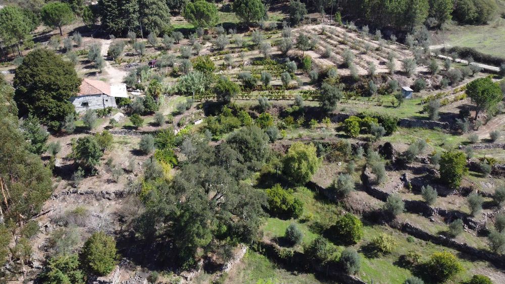 Vende‑se Quinta do Vale — 7 hectares de natureza viva