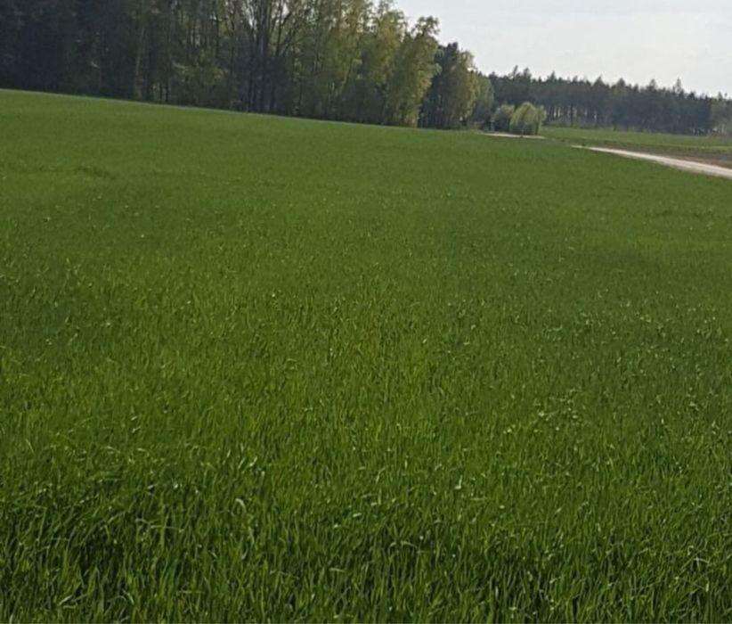 Działki budowlane