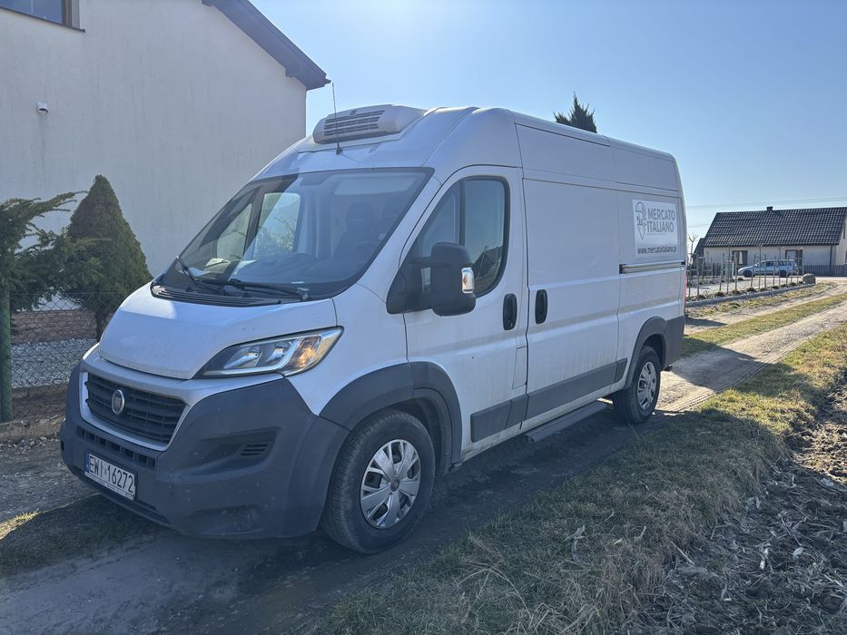 Fiat Ducato 3.0 Thermo King V300 MAX 2015 L2H2