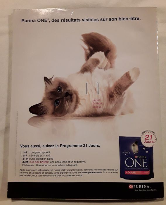 Revista GEO Hors-Série 33 H "Chats du Monde" 2009