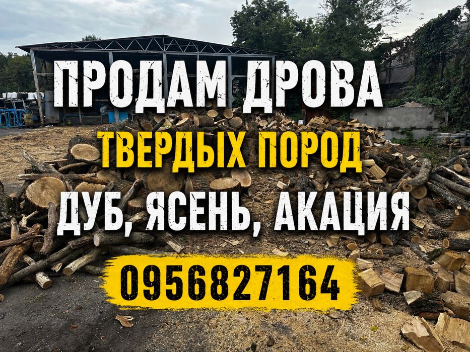 Продам дрова твердых  пород колотые  . ДУБ,ЯСЕНЬ,АКАЦИЮ.