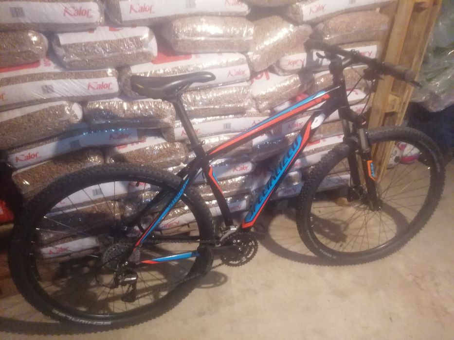 Bicicleta BTT Specialized