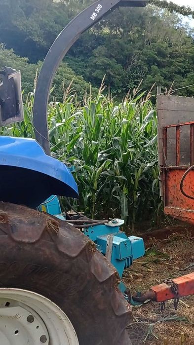 Ensiladora de milho Mengele MB300