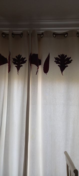 Cortinados gato preto