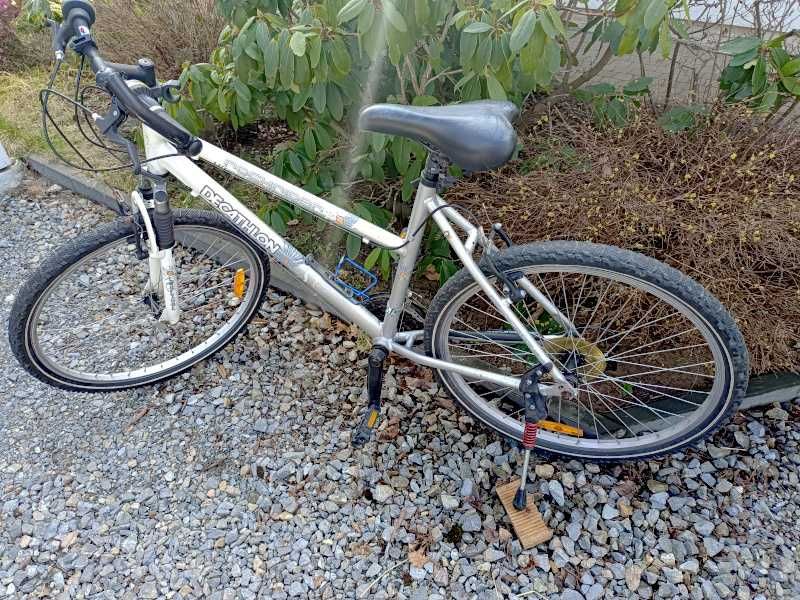 Rower ROCKRIDER Vitamin 26"