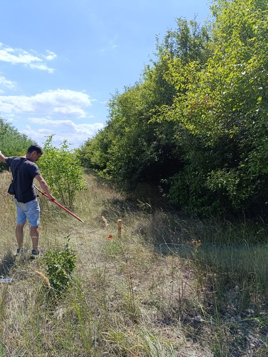Продажа ровного участка в Таромском