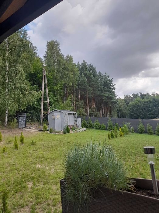 działka rekreacyjna - Widok 2