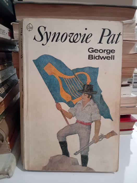 Synowie Pat George Bidwell dzieje Irlandii