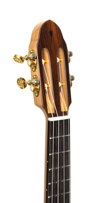 Ukulele tenorowe lutnicze NOVA Wanderer double-top cedr