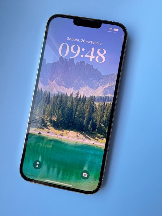 iPhone 13 Pro Max Srebrny