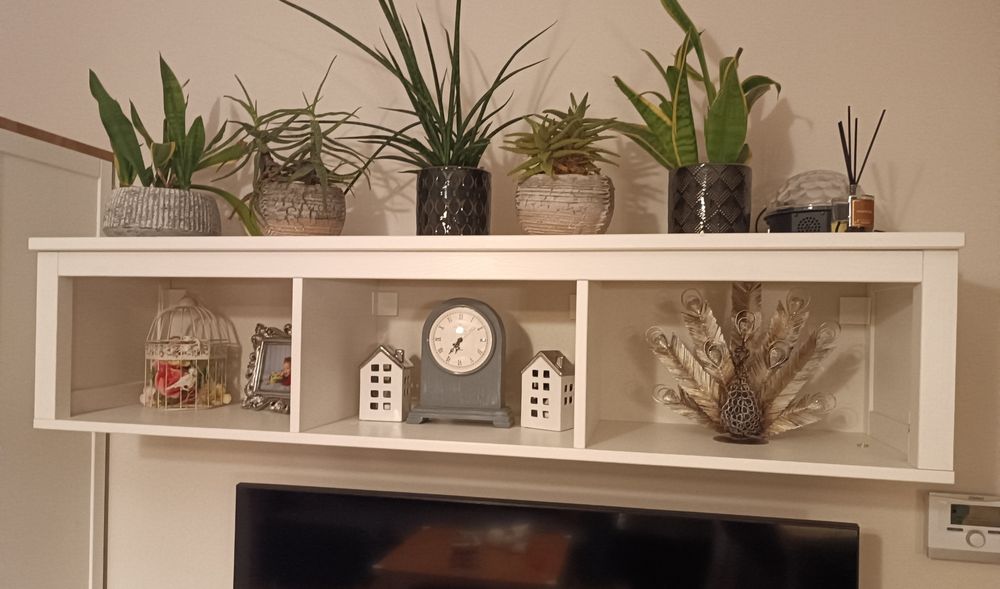 Zestaw mebli IKEA HEMNES ( witryna, półka , szafka RTV)