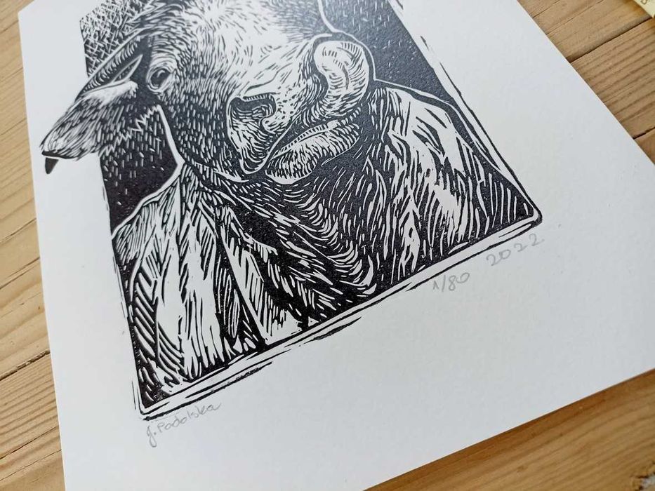 Linoryt krowa, grafika A4