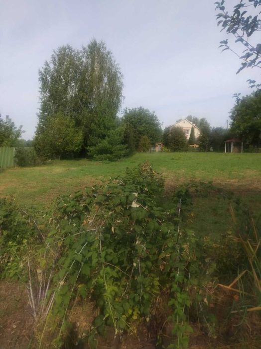 Земельна ділянка с.Степанівка