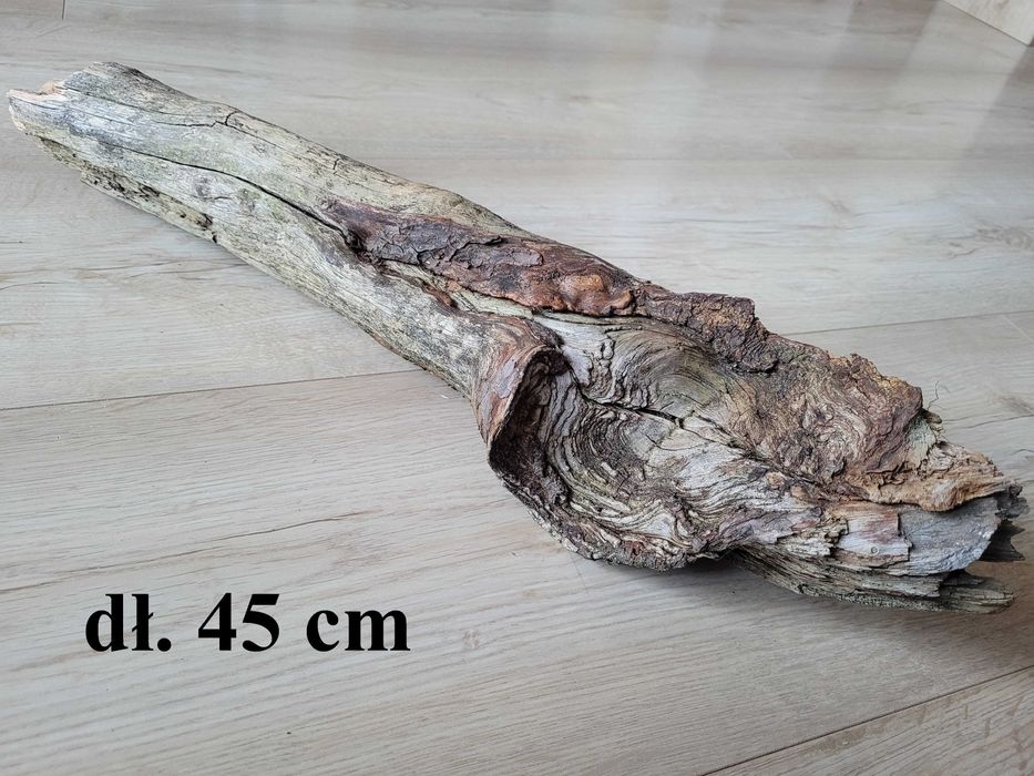 korzeń naturalny do akwarium / terrarium agama , gekon